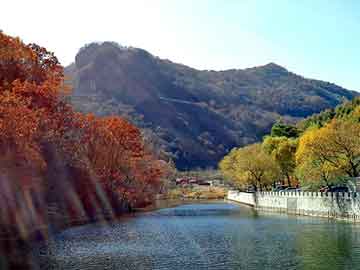 新澳天天开奖资料大全旅游团，汕头电脑城